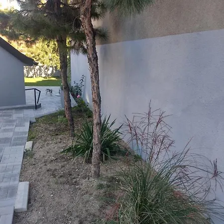 Domo Sd Apartment *